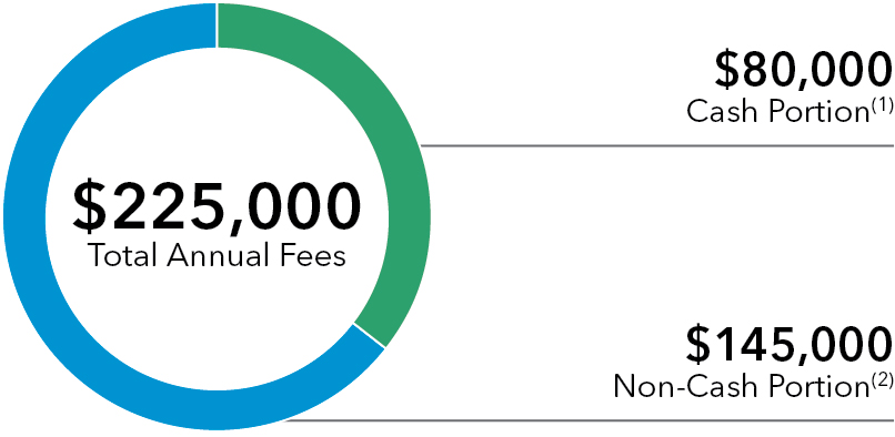 piechart_annualfeesxpg31.jpg